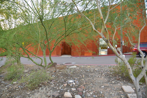 DSC 1184