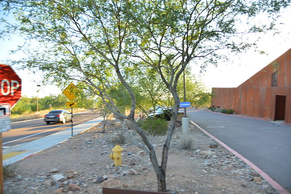 DSC 0994