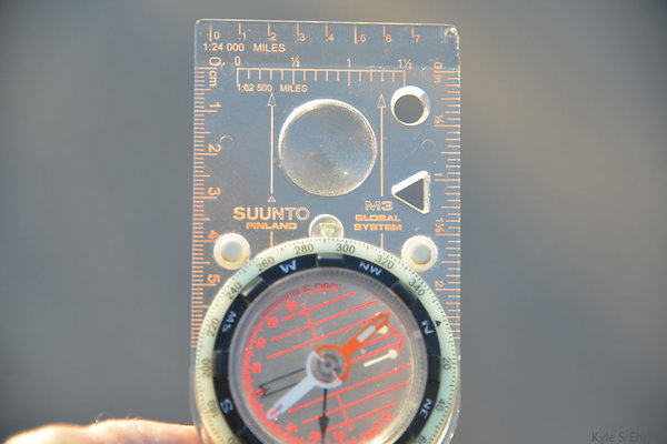 DSC 1019