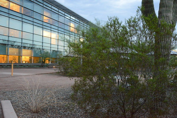 DSC 2083