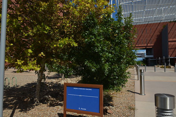 DSC 7779