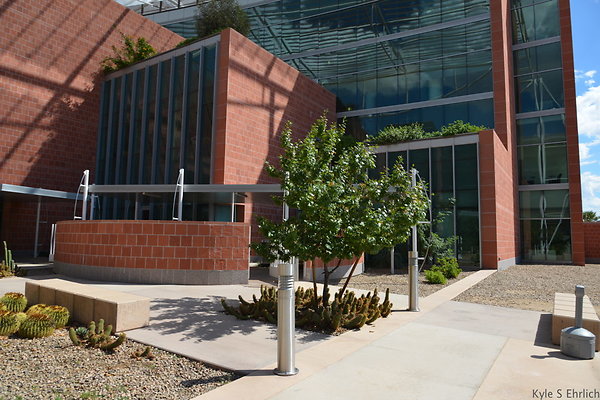 DSC 7800