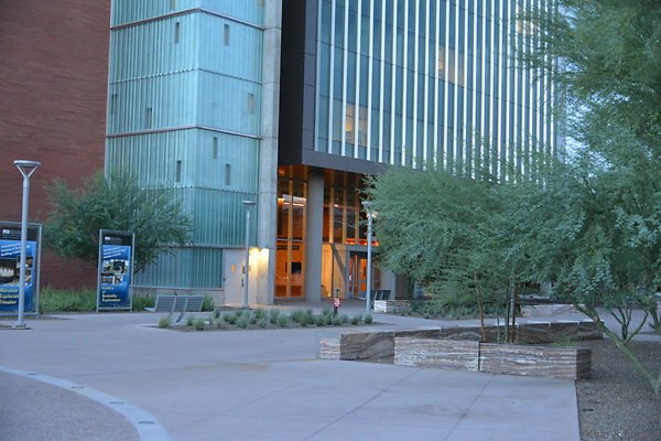DSC 0965
