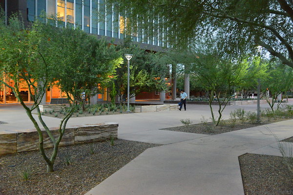 DSC 1065