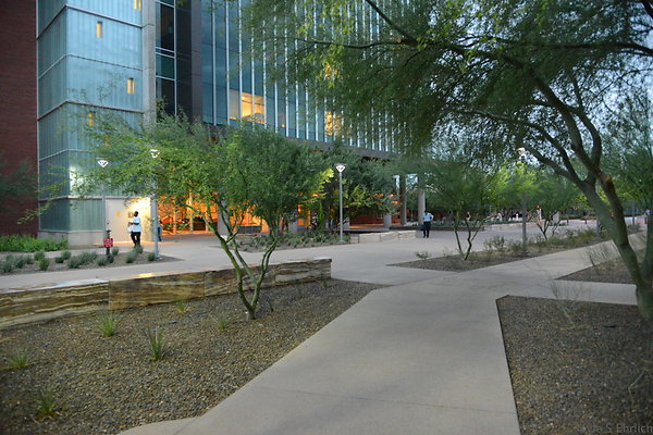 DSC 1064