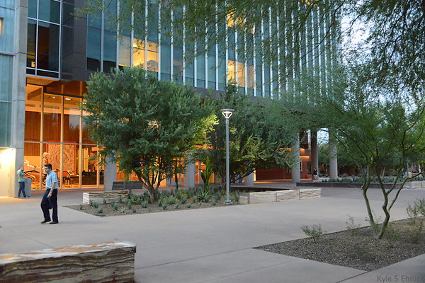 DSC 1067