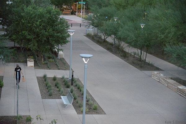 DSC 1028