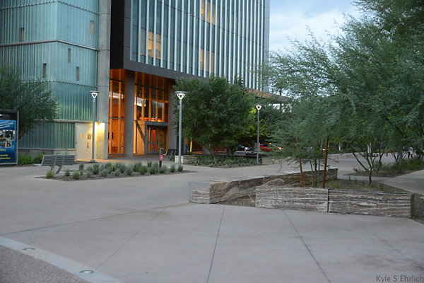 DSC 1042