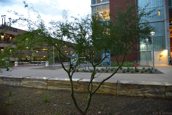 DSC 1070