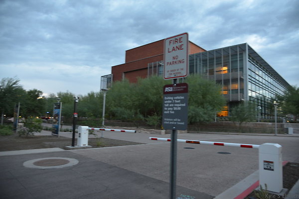 DSC 1003