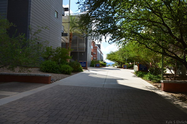 DSC 7857