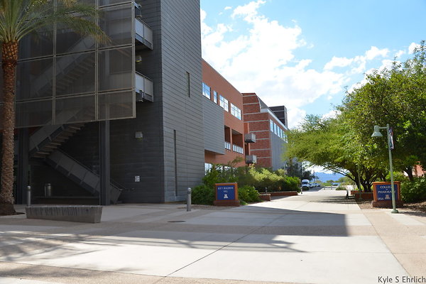 DSC 7867