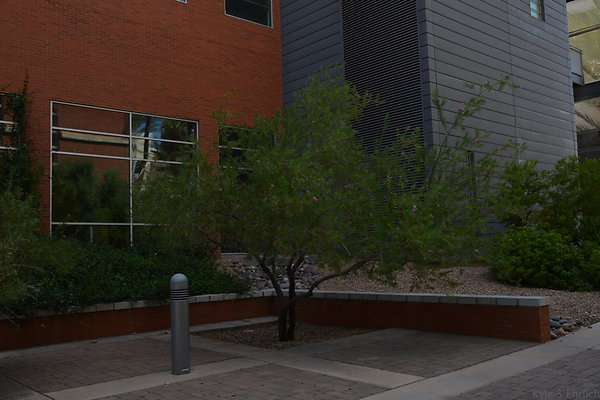 DSC 7860