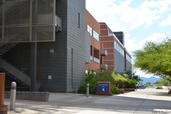 DSC 7853