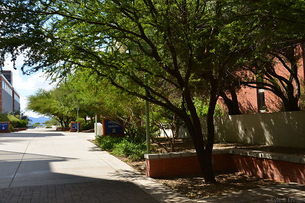 DSC 7862