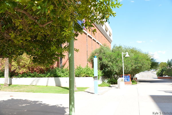 DSC 7881