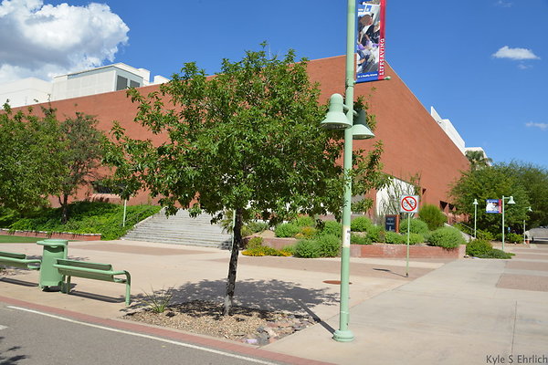 DSC 7897