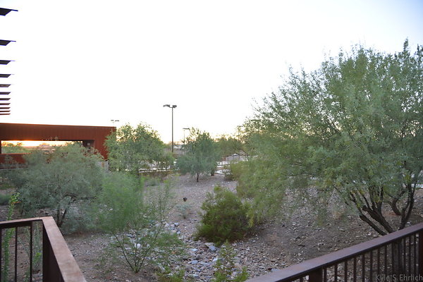 DSC 1267