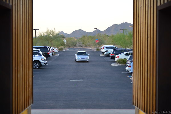 DSC 1278