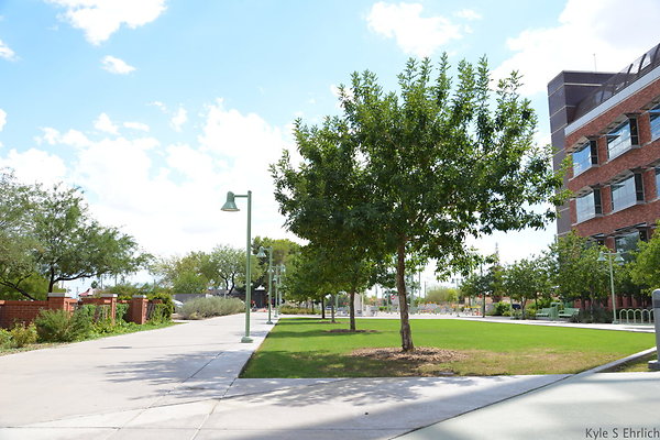 DSC 7823