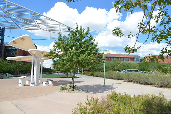 DSC 7835