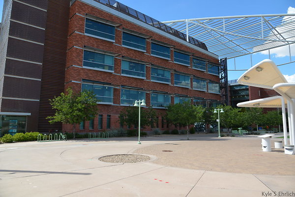 DSC 7834