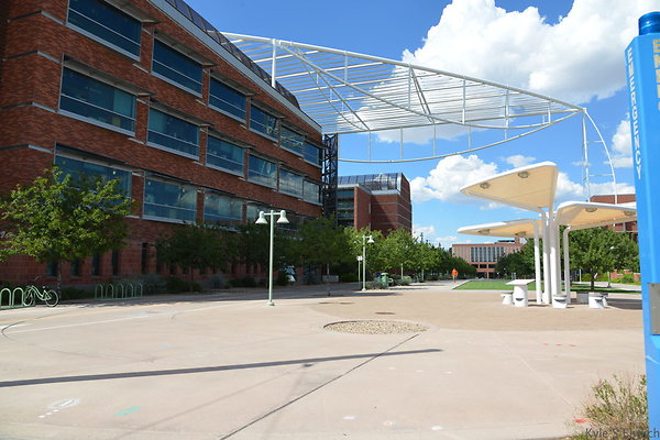 DSC 7840