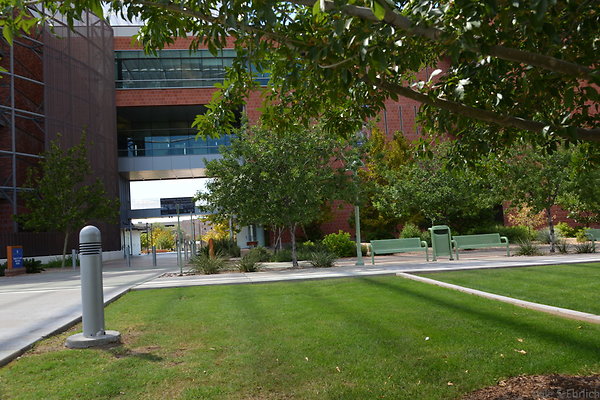 DSC 7825