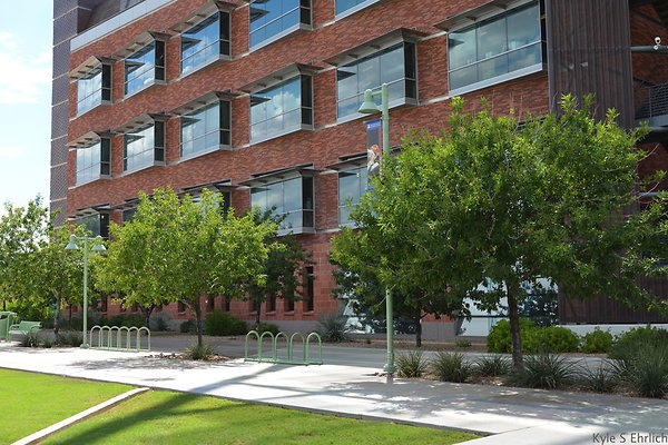 DSC 7816