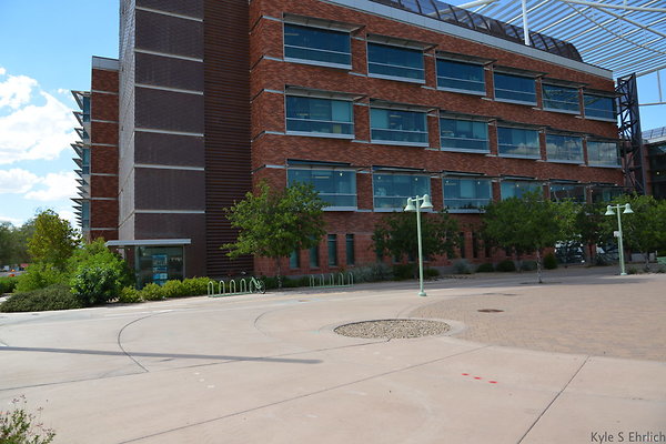 DSC 7831