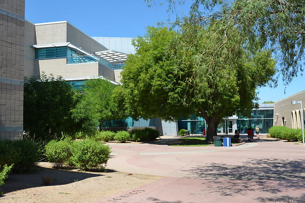 DSC 4143