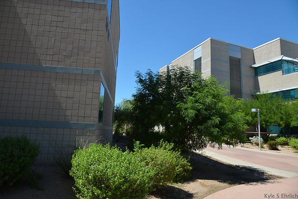 DSC 4148