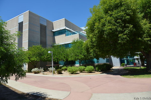 DSC 4163