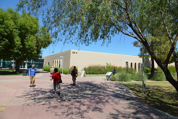 DSC 4141