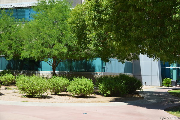 DSC 4165