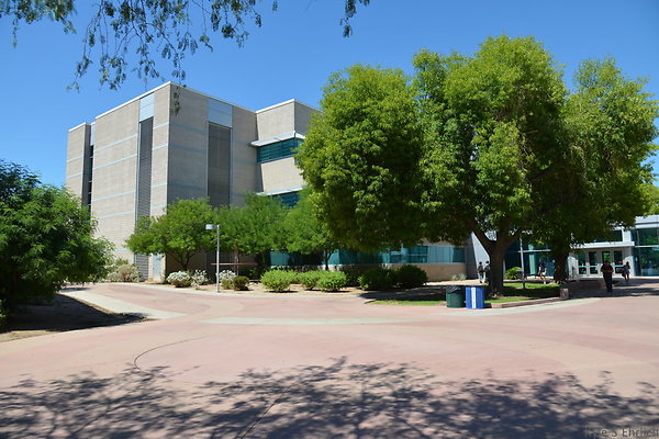 DSC 4151