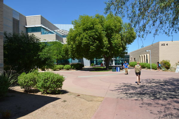 DSC 4137