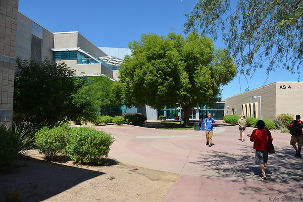 DSC 4140