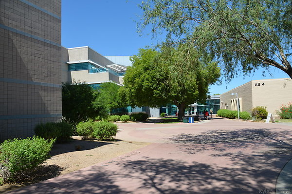 DSC 4142