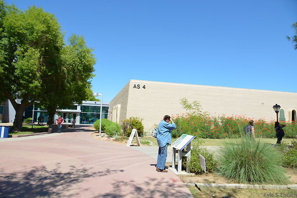 DSC 4156