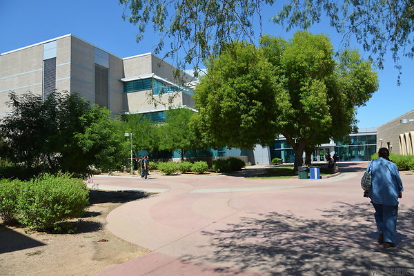 DSC 4145