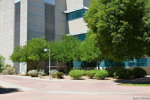 DSC 4153