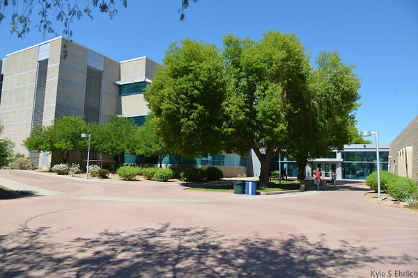DSC 4155