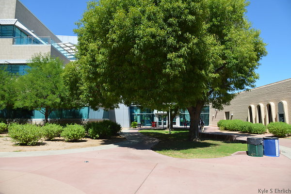 DSC 4167