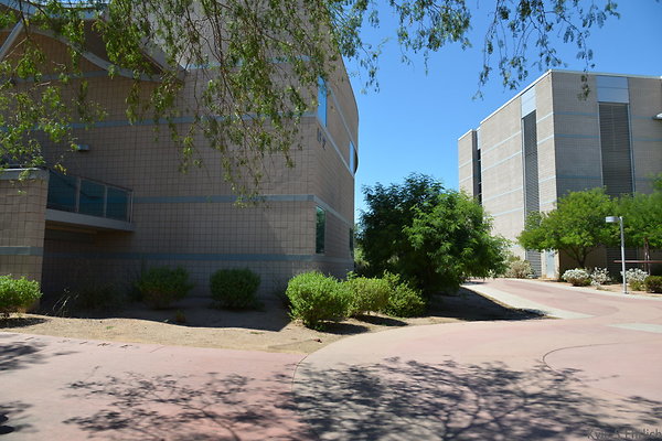 DSC 4154