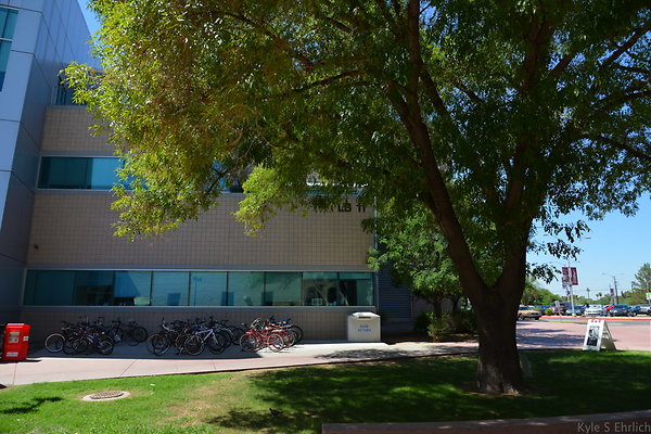 DSC 4178
