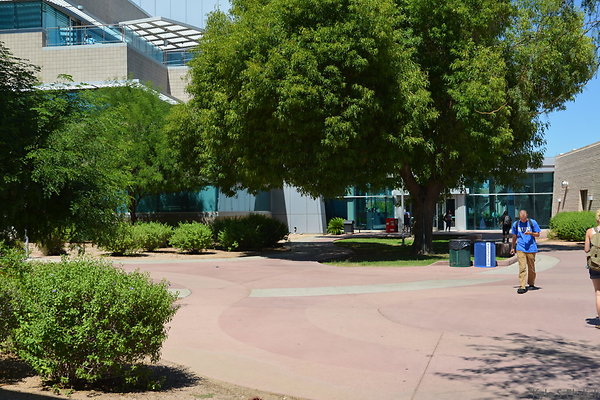 DSC 4138