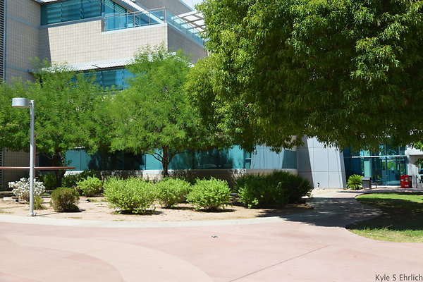 DSC 4164