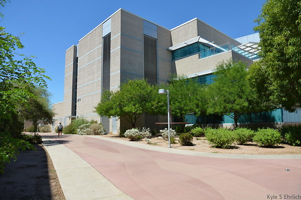 DSC 4166