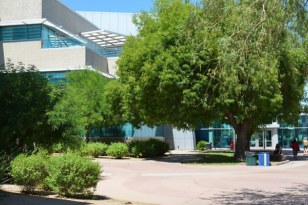 DSC 4144